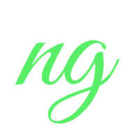 ngsystems logo