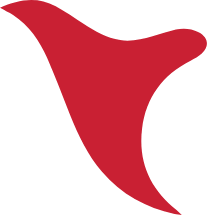 Yay Hosting logo