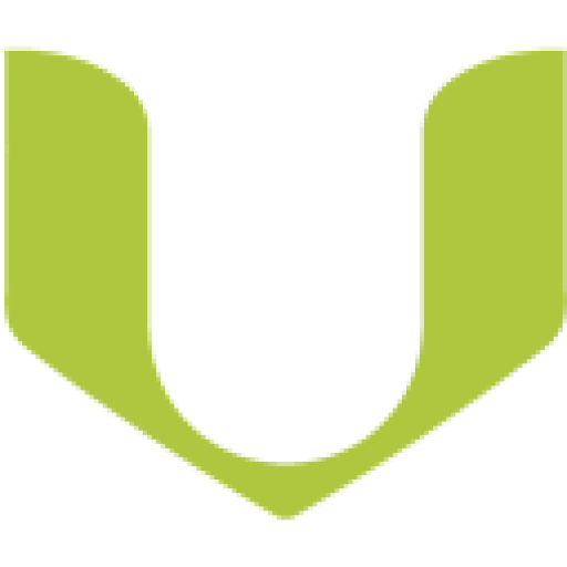 Viperspace | Managed IT & IT Support Company in Brighton, MI logo