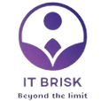 IT Brisk logo
