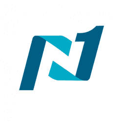 Network 1 Consulting - Atlanta Managed IT Services Company logo