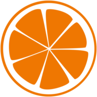 netzorange IT-Dienstleistungen GmbH & Co. KG Köln logo