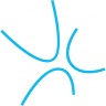 DataWeb.nl logo