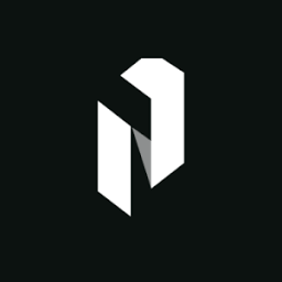 Netrouting logo