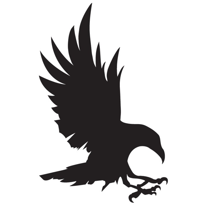 Raven Managed Services logo