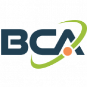 BCA IT, Inc. - Managed IT Services Company Miami logo