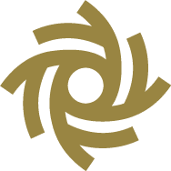 ION247 IT Solutions Orlando logo